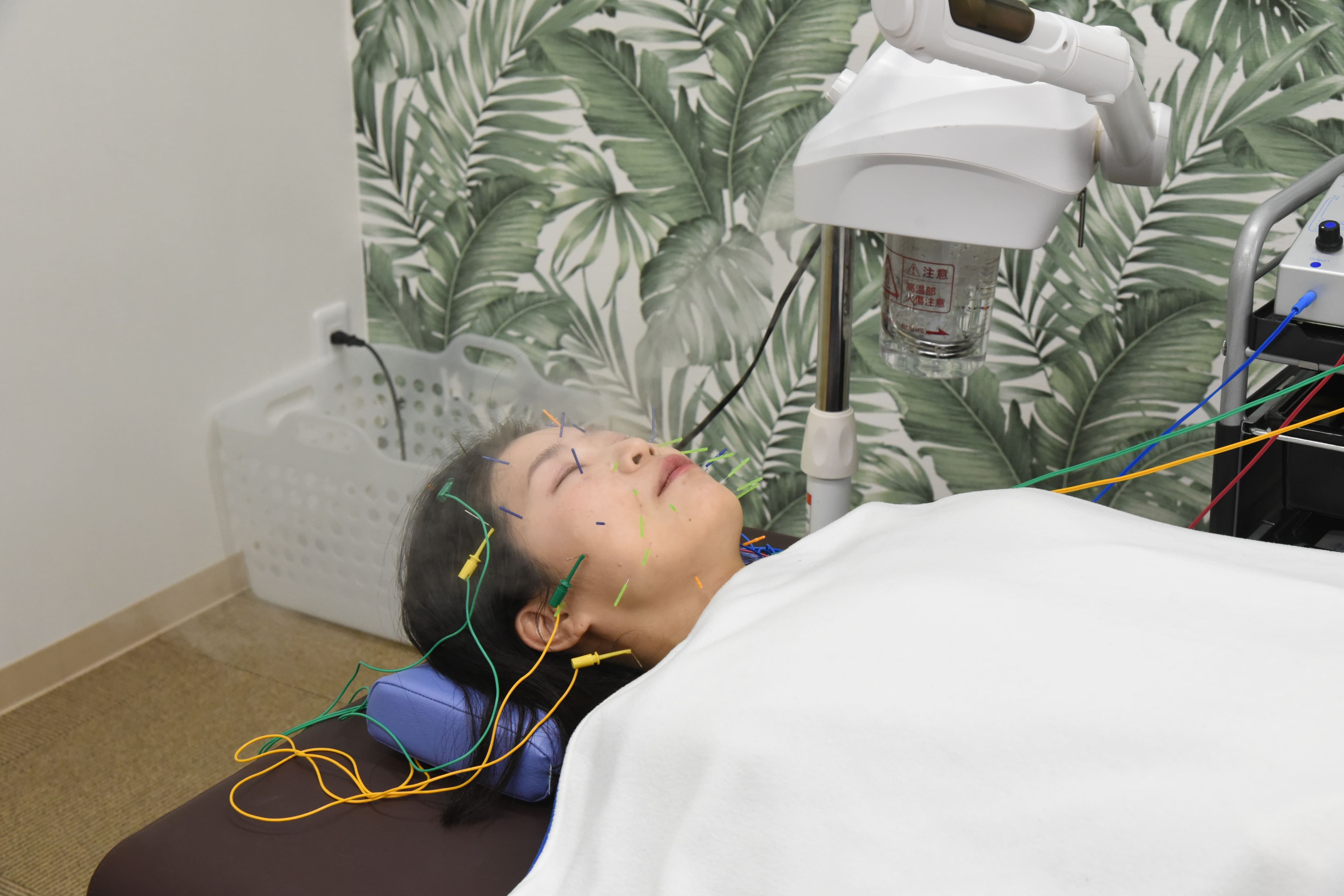 美容・鍼灸セット